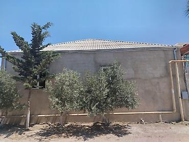 barda: 5 otaqlı, 1 kv. m, Təmirsiz — 9