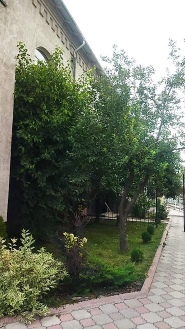 продаю дом дордой 1: Здание, 1058 м² — 2
