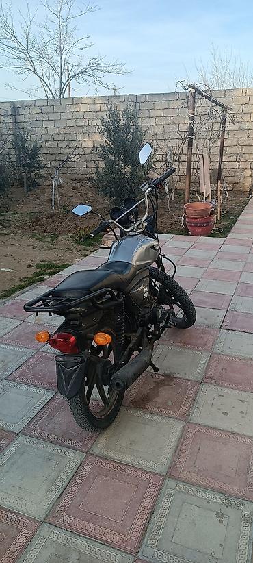ucuz m50: Moped tipli motosiklet – “M50” (üzərində M50 yazısı var), tək — 2