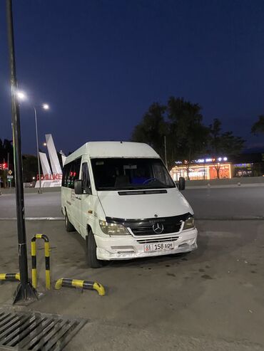 бризгавик спринтер: Mercedes-Benz Sprinter: 2002 г., 2.9 л, Механика, Дизель, Бус