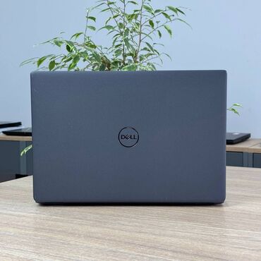 Ноутбуки: Dell