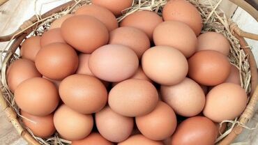 Яйца: 0.25azn 
Təmiz kənd yumurtasidi