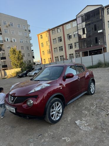 бороны мала: Nissan Juke: 2012 г., 1.6 л, Автомат, Бензин, Внедорожник