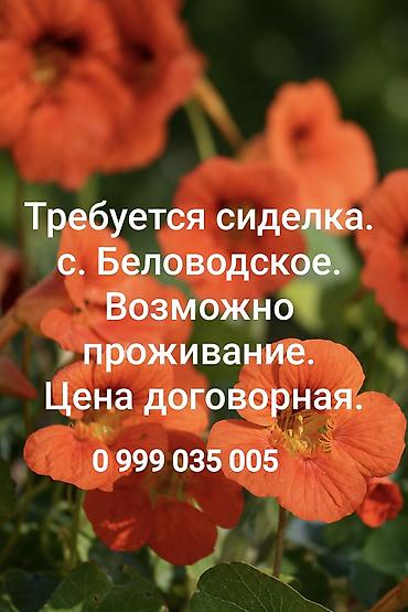 Требуется Сиделка, График: Сменный график