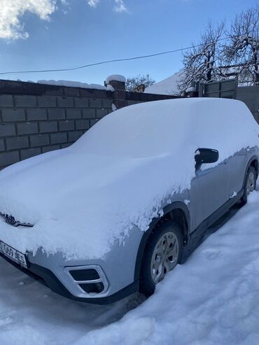 prodaju forester: Subaru Forester: 2019 г., 2.5 л, Бензин, Универсал