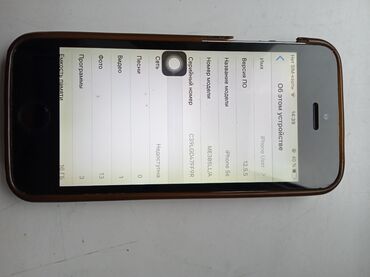 Apple iPhone: IPhone 5s, 16 ГБ, Чехол — 4