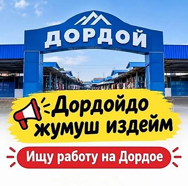 3d animator: Услуга: Поиск работы на рынке Дордой Описание: Прямо любой жумуш боло — 1