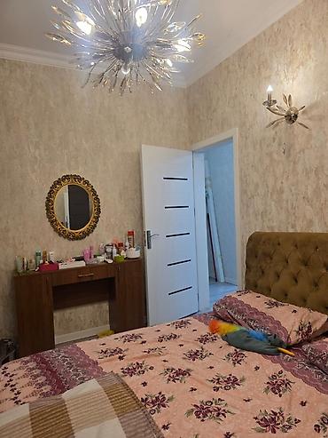 дем ал пансионат: Tecili satilir paket kupcali Paket kupcadır. 3 saylı orta məktəbin — 5
