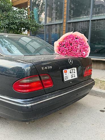 бмв 528i: Mercedes-Benz E-Class: 1998 г., 4.3 л, Автомат, Бензин, Седан — 1