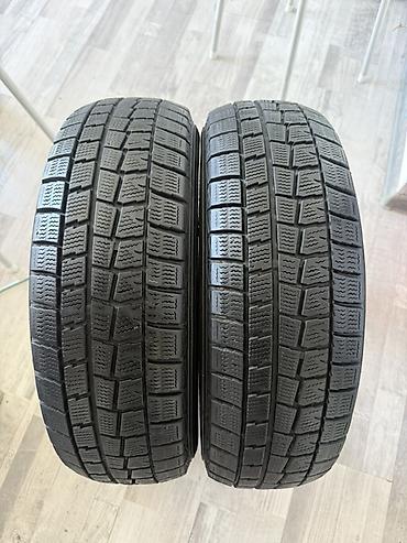 215 2f55 2f17: Пара зимних шин Dunlop 175/65 R14 82Q (без шипов, STUDLESS) - Размер — 1