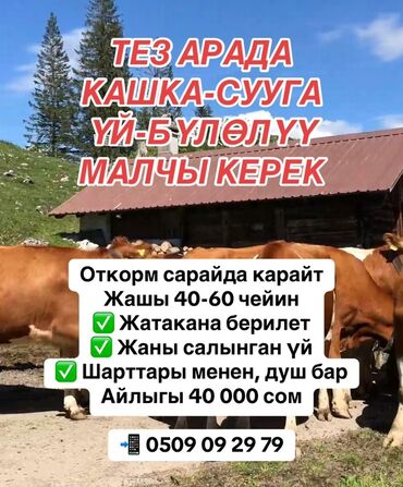 услуги охраны: Талап кылынат Малчы, Төлөм Ай сайын