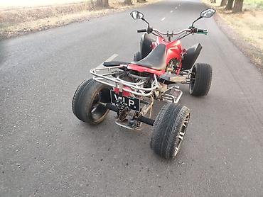 Квадроциклы: Квадроцикл Бензин, 250 куб. см, Взрослый at lalafo.kg — 10 Квадроциклы: Квадроцикл Бензин, 250 куб. см, Взрослый — 10