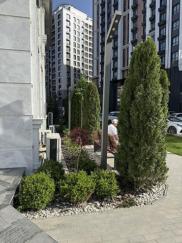 Долгосрочная аренда комнат: 62 м², С мебелью — 12