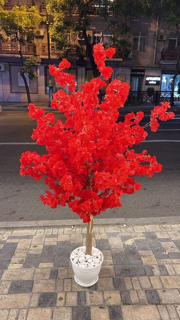 Bağ və bostan üçün digər məhsullar: Kv 10 man baslayr Depodan bir basa satis Hem ucuz hem keyfiyyetli — 4