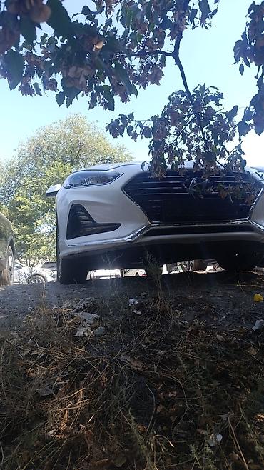 фильтр соната: Hyundai Sonata: 2019 г., 2 л, Автомат, Бензин, Седан — 7
