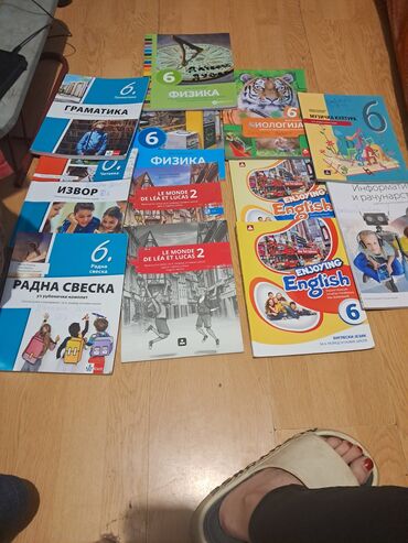 jakne za zimu: Knjige za 6 razred