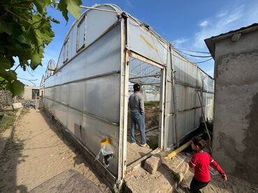 İstixanalar və parniklər: 📍 Satılır: metal lom qiymetine deyerinden cox ucuz Hazır İstixana — 2