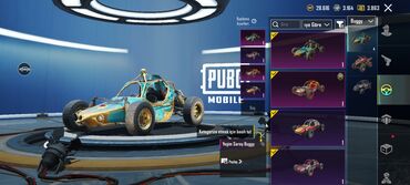 Digər: PUBG Mobile hesabı – zəngin kosmetik kolleksiya - X-Suit — 25