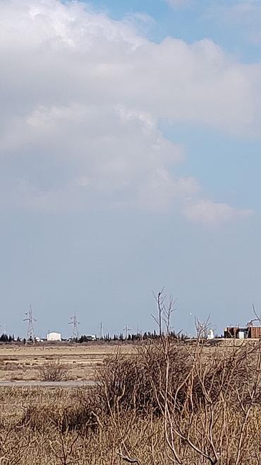 Torpaq sahələrinin satışı: Biznes üçün — 2