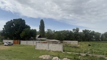 Сельхоз предприятия: Продаю Кошара, 100 соток, Действующий, Скважина, Холодная вода, Электричество — 4