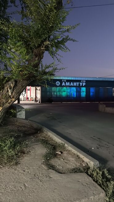 ночная охрана: Компьютердик диагностика, баруусуз