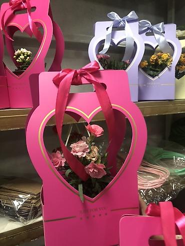 Подарочная упаковка: Подарочные композиции в коробке-сумке - Живые комнатные — 4