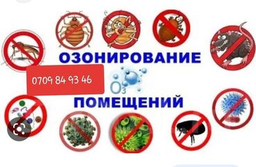 химчистка токмок: Озонирование (обеззараживание) жилых/нежилых помещений любой