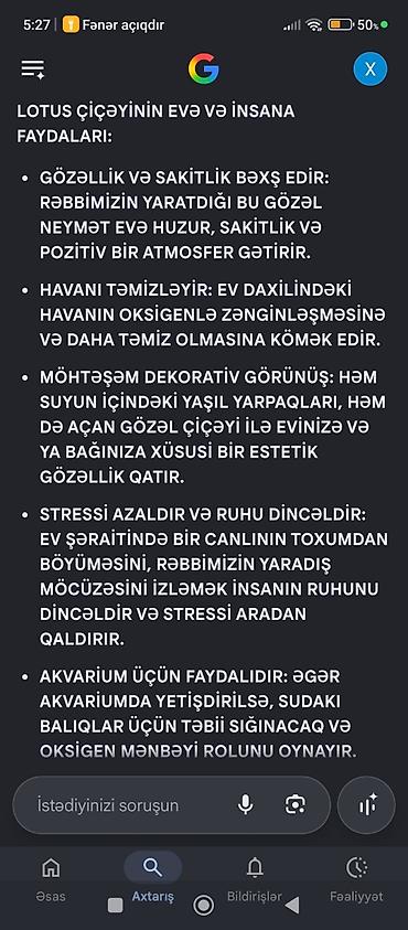 bitki dərmanları satışı: Təbii lotus toxumları – Sumqayıtda Mənbə: dəniz kənarından şəxsən — 3