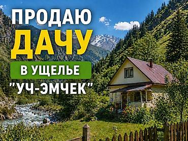 квартиры с панорамными окнами: Продаются 2 дачи на четырех участках. Объединены общим забором. Каждый — 1
