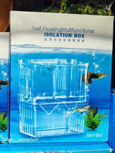 аквариумный рыба: Отсадка для рыб. Для разведения аквариумных рыбок