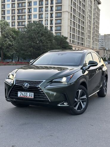 лексус nx 300: Lexus NX: 2020 г., 2.5 л, Вариатор, Гибрид, Кроссовер