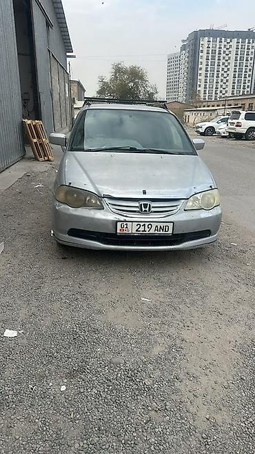 subaru legacy b4: Honda Odyssey: 2003 г., 2.4 л, Автомат, Бензин, Минивэн — 1