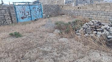 saray torpag: 6000 sot, Tikinti, Bələdiyyə — 1