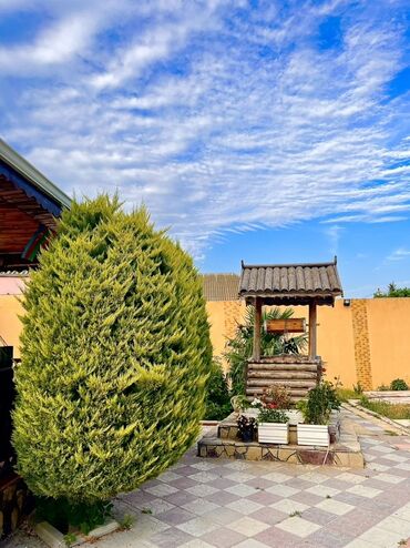 Günlük kirayə evlər: 300 kv. m, 7 otaqlı, Kanalizasiya, Kombi, Qaz — 12