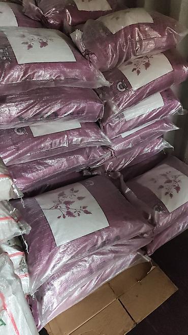 Clover seeds: Семена клевера «Багира» - Производитель: Кара-Балта, Кыргызская — 9