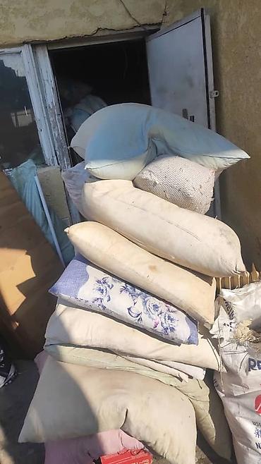 новые бутылки: Скупка старых ватных матрас пуховые подушки* Эски пахталуу көрпө төшөк — 6