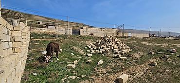 1 hektar nece km dir: 2 sot, Tikinti, Mülkiyyətçi, Kupça (Çıxarış), Texniki pasport — 2