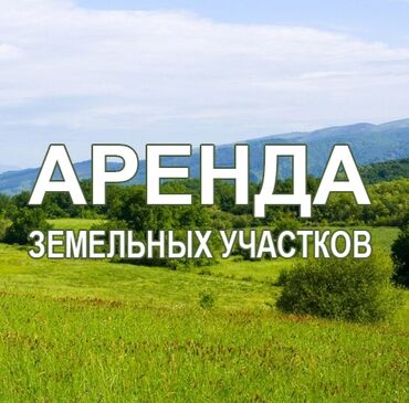 кок джар ж м: Айыл чарба үчүн