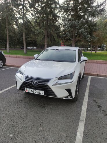 Lexus: Lexus NX: 2019 г., 2.5 л, Вариатор, Гибрид, Кроссовер