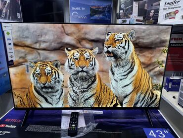 Телевизоры: Телик Телевизоры Samsung Android 13 с голосовым управлением, 43 at lalafo.kg — 22 Телевизоры: Телик Телевизоры Samsung Android 13 с голосовым управлением, 43 — 22