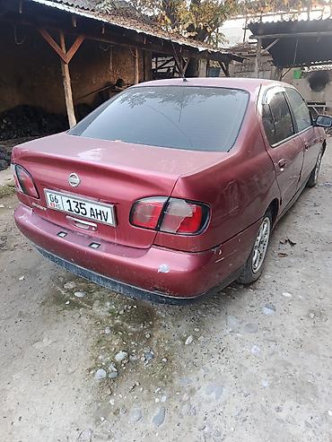 235 65: Nissan Primera: 2002 г., Бензин, Седан — 5