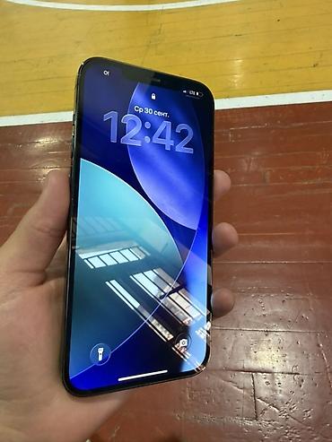 IPhone 12 Pro Max, 256 ГБ, модель (RU), iOS 16.2. Цвет — графит