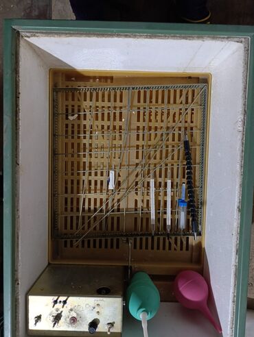 inkubator aparatı: İnkubator