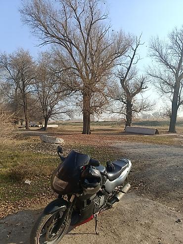 горные мотоцикл: Классический мотоцикл Kawasaki, 500 куб. см, Бензин, Взрослый, Б/у — 2