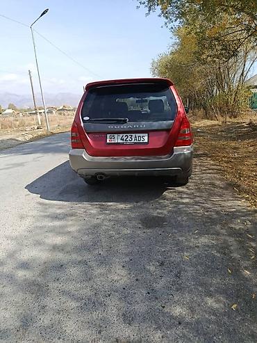 Subaru: Subaru Forester: 2003 г., 0.2 л, Автомат, Бензин, Внедорожник — 3