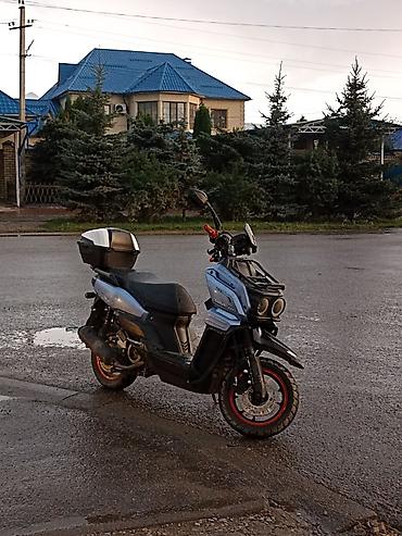 титан рекс: Скутер/ танк 150 куп нахаду экспертиза есть — 1