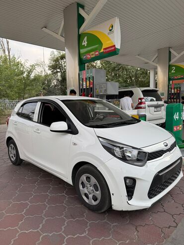 авто в кредит без первоначального взноса: Kia Morning: 2019 г., 1 л, Автомат, Бензин, Хэтчбэк