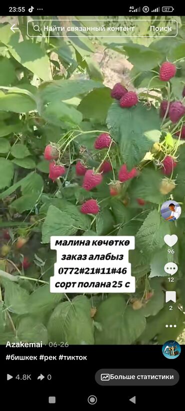 дизельная помпа для полива: Саженцы : Малина, Самовывоз