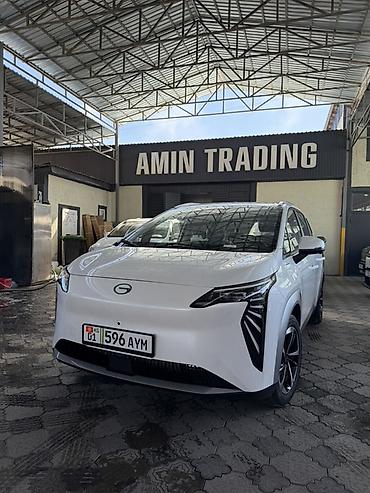 GAC: Электромобиль GAC Aion Y (белый), компактный кроссовер/минивэн с — 1