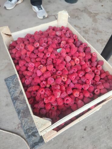 Замороженные фрукты, ягоды: Замороженные фрукты, ягоды — 4